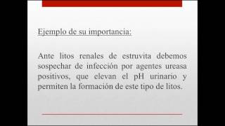 Nemotecnia para memorizar las Bacterias Ureasa [upl. by Joslyn]