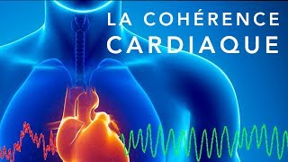 💓 La cohérence cardiaque  un exercice simple pour retrouver léquilibre [upl. by Eirac]