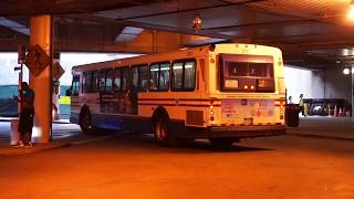 WMATA Metrobus 2000 Orion V 2123 On Route J2 [upl. by Quintana]