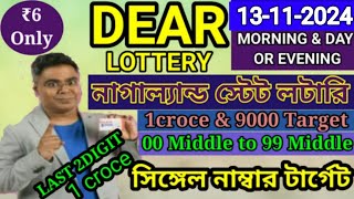 13112024 morning 6pm 8pm Target Number NagalandLottery Sambad LiveLottery Target Number [upl. by Karry]