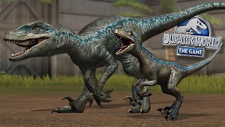 Beta and Blue Reunited  Jurassic World  The Game  Ep532 HD [upl. by Bernete224]