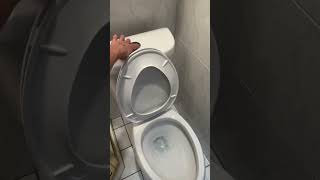 “Mastering The Flush Toilet Flushing 101 How To Flush A Toilet” [upl. by Yesnel757]