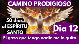 DIA 12🔥 CAMINO PRODIGIOSO CON EL ESPÍRITU SANTO 🔥GOZO GOZO GOZO [upl. by Swirsky165]