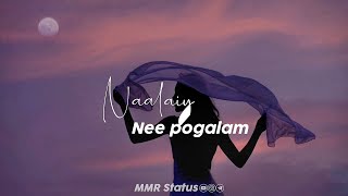 Tamil Whatsapp Status  Love Songs New  Love Whatsapp Status Tamil  female version status tamil [upl. by Ethelstan]