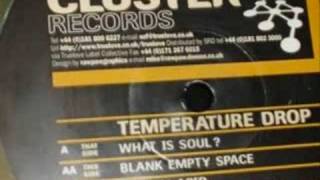 Cluster Records 02  Temperature Drop  What Is Soul [upl. by Acilegna730]