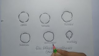 Aestivation drawing technique  Biology diagram HSC Biology1Chupter7 [upl. by Shelley]