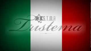 Tristema feat Fuossera  La Penisola Che Non CÈ Official Lyrics Video [upl. by Ahsieket]