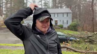 Tree Falls on Several Cars and Damages Home in Massachusetts [upl. by Kirkwood]