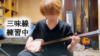 三味線 練習中  Practicing the Shamisen [upl. by Matrona]