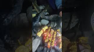 barbecue and paneer tikka at peaceful place kashmir reels [upl. by Neff346]