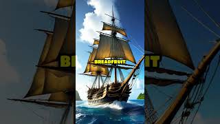 Mutiny on the Bounty A Tale of Rebellion [upl. by Augy62]