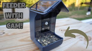 Bozily Smart Bird Feeder Camera REVIEW [upl. by Liva]