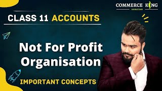 NPO  Not for profit organisation Class 12 Accounts [upl. by Ahsinaj]