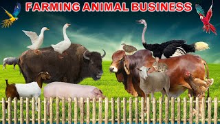 18 Most Profitable Farm Animals to Raise  Livestock Farming Business Ideas [upl. by Tadeas]