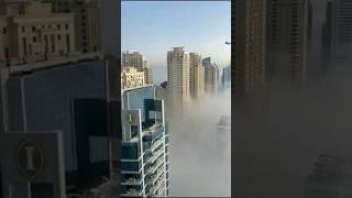 2 bedroom apartment in Dubai Marina Bay Central Tower [upl. by Patrich250]