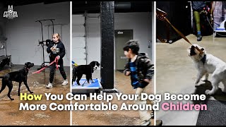 DogVlog 177 How You Can Help Your Dog Become More Comfortable Around Children [upl. by Hendricks981]