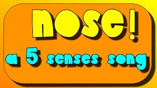 Nose and Sense of Smell A 5 senses SingAlong [upl. by Asiar224]