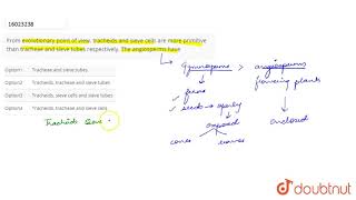 From evolutionary point of view tracheids and sieve cells are more primitive than tracheae and s [upl. by Bryant775]