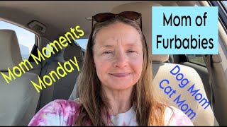 Mom Moments Monday Mom of Furbabies [upl. by Heyward]