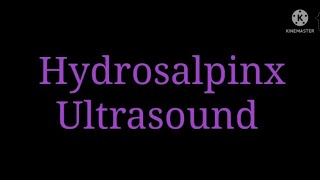 Hydrosalpinx Ultrasound [upl. by Ennad]