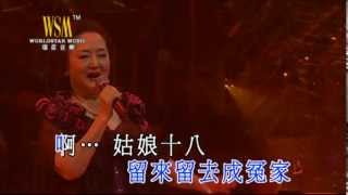 劉韻丨姑娘十八一朵花丨情牽金曲百樂門演唱會 [upl. by Cherianne]