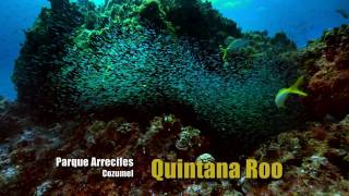 QUINTANA ROO 3quot HD ESTRELLAS DEL BICENTENARIO [upl. by Maurer]