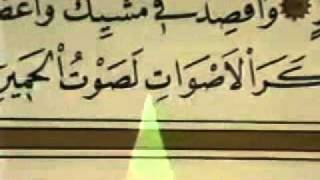 Video Quran Juz 21 [upl. by Rockafellow234]