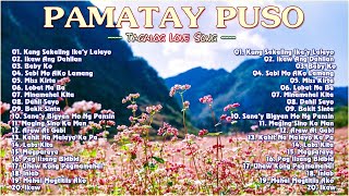 New Tagalog Love Song Remix Pamatay Puso  Nyt Lumenda amp PML Members [upl. by Emmaline]