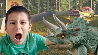 👑 TRICERATOPS Los Reyes de los DINOSAURIOS [upl. by Nel]