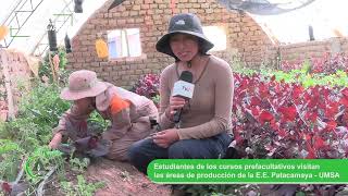 Estudiantes de los cursos prefacultativos visitaron la Estación Experimental Patacamaya  UMSA [upl. by Zeret]