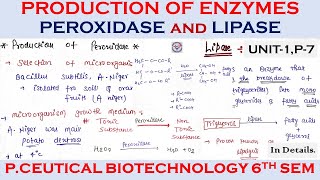 Production of enzymes  Peroxidase And Lipase Production Pharmaceutical Biotechnology  u1 Part7 [upl. by Eentrok]