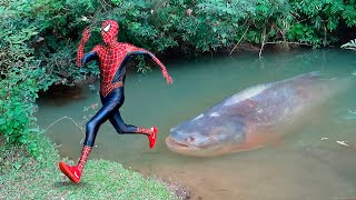 Homem Aranha e a História do Monstro Peixe Aranha  Filme Completo 2024 [upl. by Lledraw]