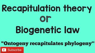 Recapitulation theory  Biogenetic law [upl. by Leuqim596]