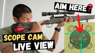 How To Bore Sight A Rifle At Home amp Save Ammo At The Range  10 Yard Bore Sight For 100 Yards [upl. by Sharl]