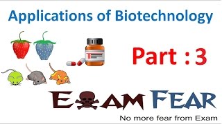 Biology Biotechnology Applications part 3 BT Toxin class 12 XII [upl. by Darahs]