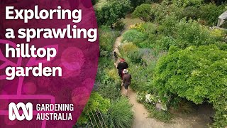 How this sprawling hilltop garden provides artistic inspiration  Discovery  Gardening Australia [upl. by Septima885]