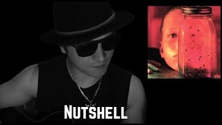 Alice in Chains  Nutshell Tribute by Mikael Pinheiro [upl. by Natsirt]