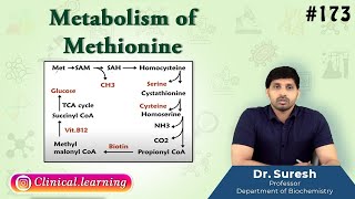 173 Metabolism Of Methionine [upl. by Cralg]