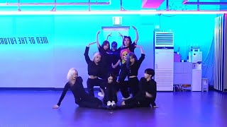 PinkFantasy  Poison dance practice mirrored [upl. by Avin]