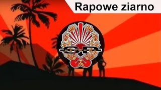 ABRADAB  Rapowe ziarno OFFICIAL VIDEO [upl. by Ranip]