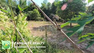 13 Hectare Farm in Cabangan Zambales [upl. by Mansoor669]