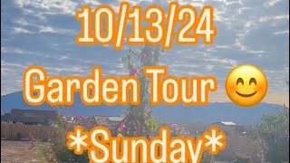 101324 Fall Garden Tour 😊 [upl. by Nylorahs]