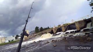 Fishing shawano dam [upl. by Namzaj]