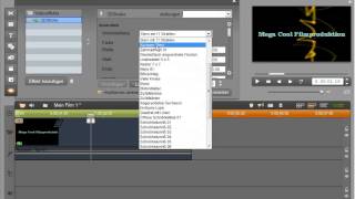 Logo Animation in Pinnacle Studio 14 und 15 [upl. by Ahsakat]