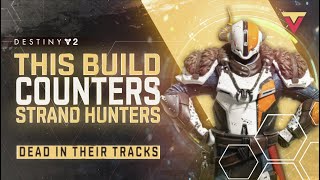 This Build Counters Strand Hunters and Aggressive Players in PVP [upl. by Nicolina]