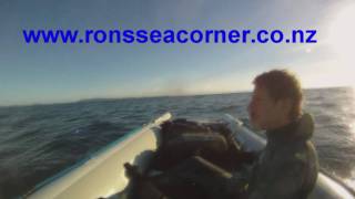 Cuvier spearfishing trip 2011 [upl. by Elvera232]