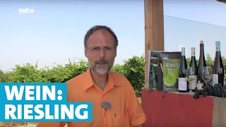 Werner erklärt Wein Riesling [upl. by Ringo593]