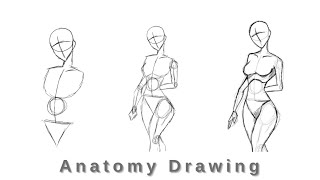 Very Easy Anatomy Drawing  Easy to Draw [upl. by Klina]