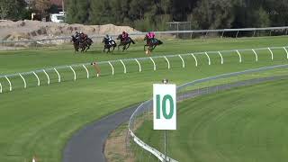 Morphettville 160424  Club Jump Out 8 [upl. by Scoter]