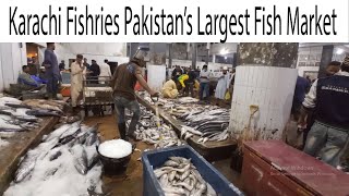 Karachi Fishery Largest Fish Market  Export Quality Fish amp seafood  Current Price and Info [upl. by Eilata]